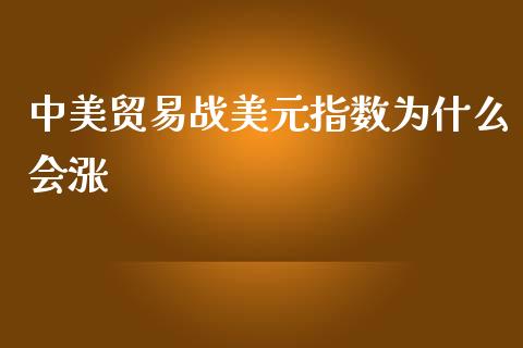 中美贸易战美元指数为什么会涨_https://wap.langutaoci.com_债券基金_第1张