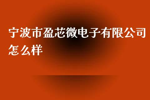 宁波市盈芯微电子有限公司怎么样_https://wap.langutaoci.com_外汇论坛_第1张