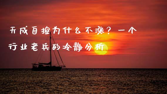 天成自控为什么不涨？一个行业老兵的冷静分析_https://wap.langutaoci.com_货币市场_第1张