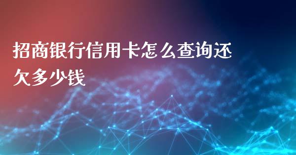 招商银行信用卡怎么查询还欠多少钱_https://wap.langutaoci.com_债券基金_第1张