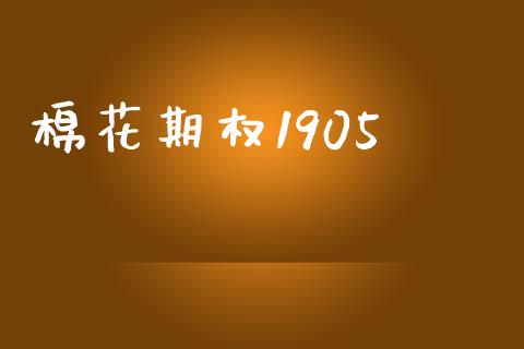 棉花期权1905_https://wap.langutaoci.com_货币市场_第1张