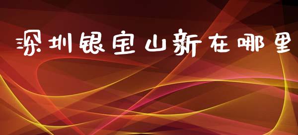 深圳银宝山新在哪里_https://wap.langutaoci.com_债券基金_第1张