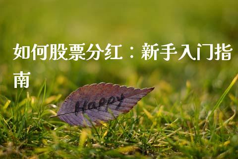 如何股票分红：新手入门指南_https://wap.langutaoci.com_债券基金_第1张
