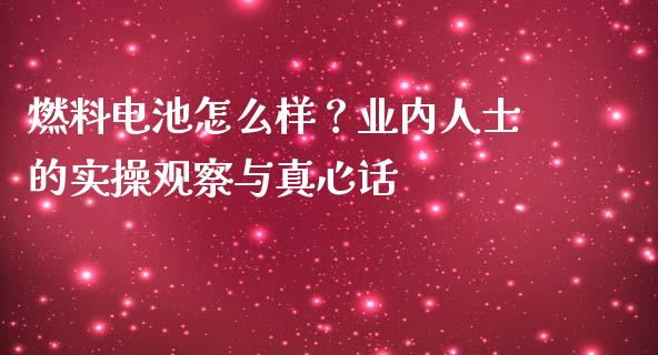 燃料电池怎么样？业内人士的实操观察与真心话_https://wap.langutaoci.com_外汇论坛_第1张