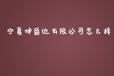 宁夏坤盛达有限公司怎么样_https://wap.langutaoci.com_金融服务_第1张