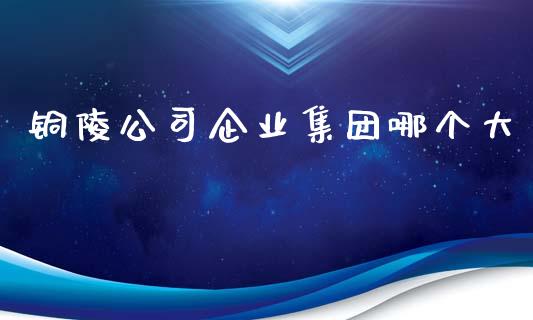 铜陵公司企业集团哪个大_https://wap.langutaoci.com_货币市场_第1张