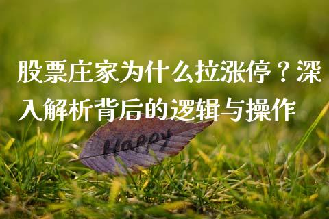 股票庄家为什么拉涨停？深入解析背后的逻辑与操作_https://wap.langutaoci.com_外汇论坛_第1张