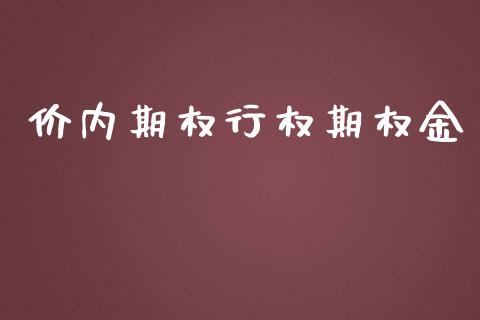 价内期权行权期权金_https://wap.langutaoci.com_债券基金_第1张