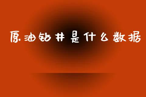 原油钻井是什么数据_https://wap.langutaoci.com_金融服务_第1张