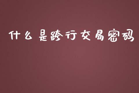 什么是跨行交易密码_https://wap.langutaoci.com_今日财经_第1张