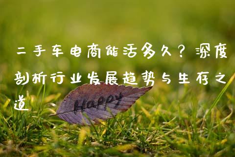 二手车电商能活多久？深度剖析行业发展趋势与生存之道_https://wap.langutaoci.com_今日财经_第1张