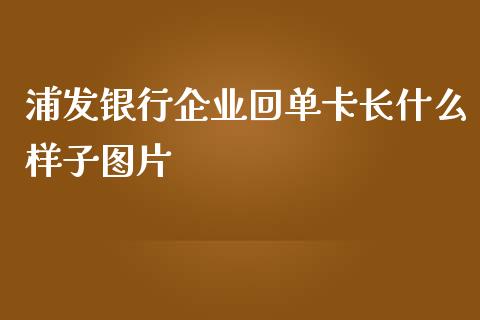 浦发银行企业回单卡长什么样子图片_https://wap.langutaoci.com_金融服务_第1张