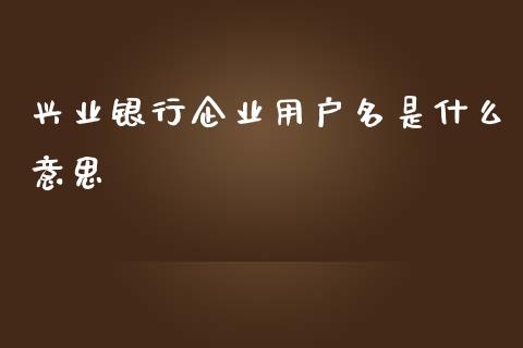 兴业银行企业用户名是什么意思_https://wap.langutaoci.com_货币市场_第1张