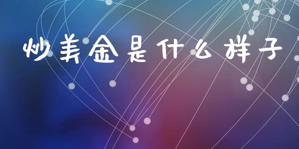 炒美金是什么样子_https://wap.langutaoci.com_债券基金_第1张