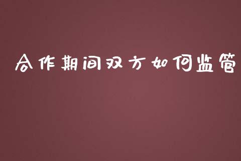 合作期间双方如何监管_https://wap.langutaoci.com_债券基金_第1张