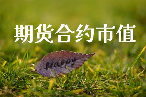 期货合约市值_https://wap.langutaoci.com_期货行情_第1张