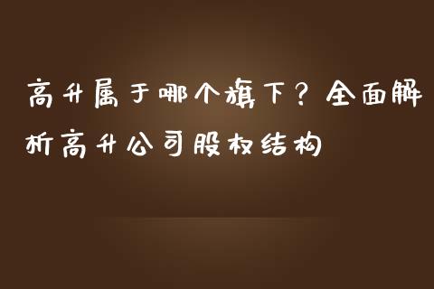 高升属于哪个旗下？全面解析高升公司股权结构_https://wap.langutaoci.com_货币市场_第1张