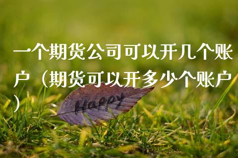 一个期货公司可以开几个账户（期货可以开多少个账户）_https://wap.langutaoci.com_金融服务_第1张