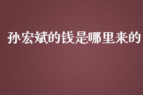 孙宏斌的钱是哪里来的_https://wap.langutaoci.com_金融服务_第1张