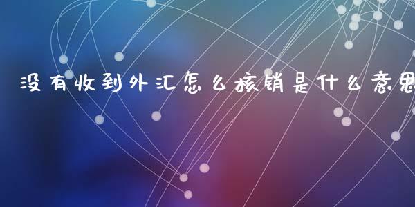 没有收到外汇怎么核销是什么意思_https://wap.langutaoci.com_外汇论坛_第1张