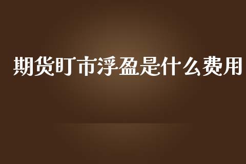 期货盯市浮盈是什么费用_https://wap.langutaoci.com_期货行情_第1张