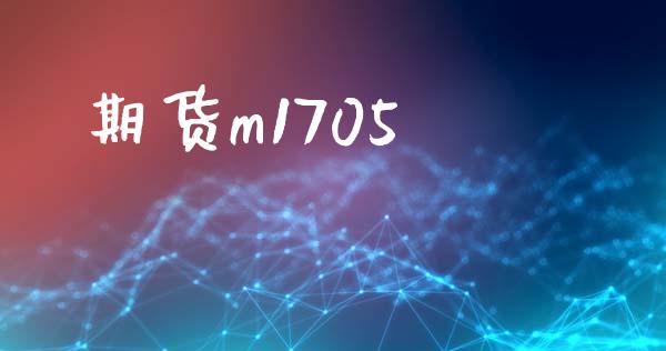 期货m1705_https://wap.langutaoci.com_外汇论坛_第1张