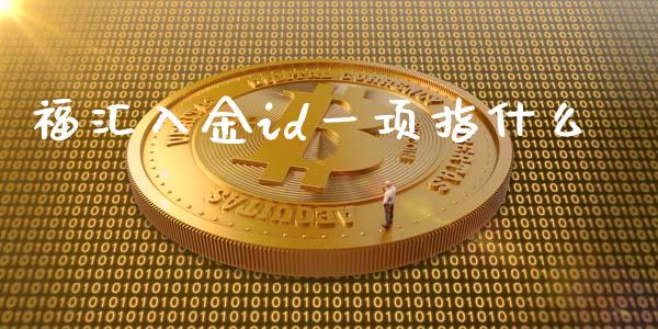 福汇入金id一项指什么_https://wap.langutaoci.com_外汇论坛_第1张