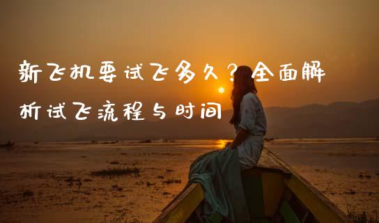 新飞机要试飞多久？全面解析试飞流程与时间_https://wap.langutaoci.com_今日财经_第1张