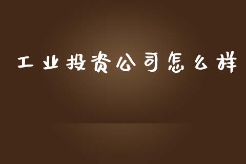 工业投资公司怎么样_https://wap.langutaoci.com_债券基金_第1张