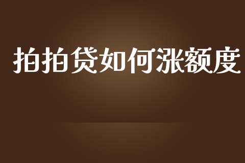 拍拍贷如何涨额度_https://wap.langutaoci.com_金融服务_第1张