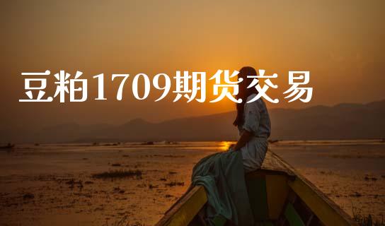 豆粕1709期货交易_https://wap.langutaoci.com_债券基金_第1张