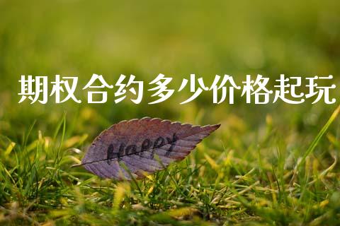 期权合约多少价格起玩_https://wap.langutaoci.com_债券基金_第1张