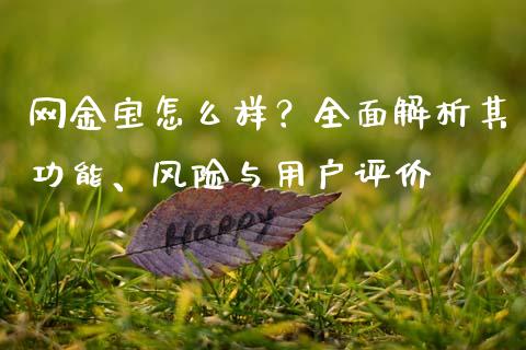 网金宝怎么样？全面解析其功能、风险与用户评价_https://wap.langutaoci.com_今日财经_第1张