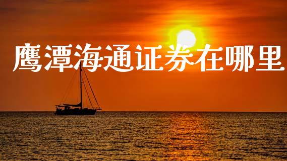 鹰潭海通证券在哪里_https://wap.langutaoci.com_货币市场_第1张