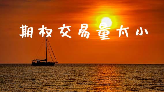 期权交易量太小_https://wap.langutaoci.com_期货行情_第1张