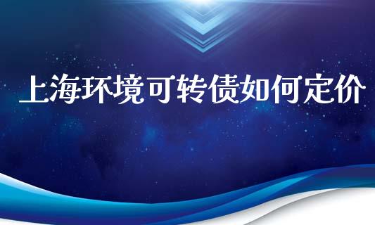 上海环境可转债如何定价_https://wap.langutaoci.com_外汇论坛_第1张