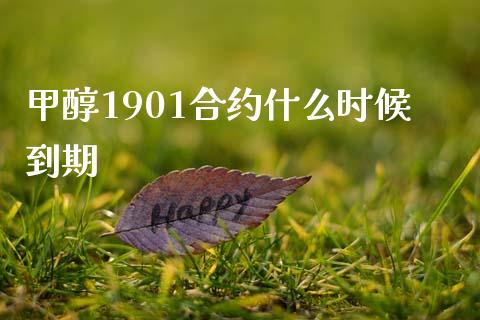 甲醇1901合约什么时候到期_https://wap.langutaoci.com_债券基金_第1张