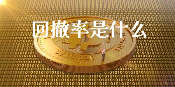 回撤率是什么_https://wap.langutaoci.com_债券基金_第1张