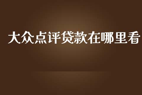 大众点评贷款在哪里看_https://wap.langutaoci.com_债券基金_第1张