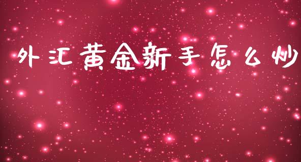 外汇黄金新手怎么炒_https://wap.langutaoci.com_外汇论坛_第1张