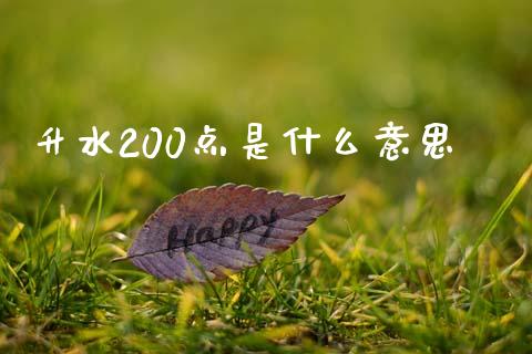 升水200点是什么意思_https://wap.langutaoci.com_期货行情_第1张