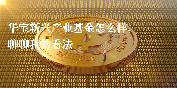 华宝新兴产业基金怎么样，聊聊我的看法_https://wap.langutaoci.com_货币市场_第1张