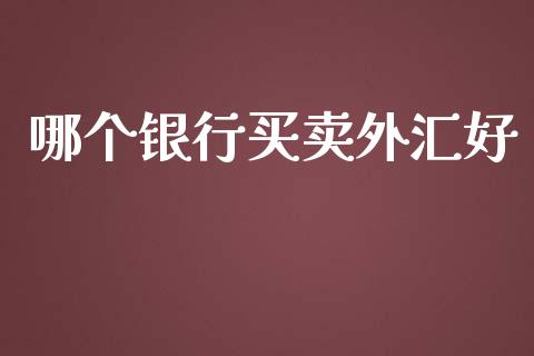 哪个银行买卖外汇好_https://wap.langutaoci.com_金融服务_第1张