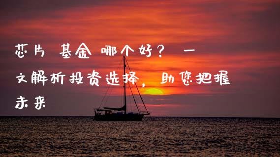 芯片 基金 哪个好？ 一文解析投资选择，助您把握未来_https://wap.langutaoci.com_货币市场_第1张
