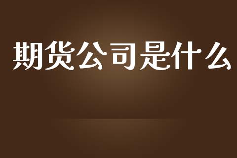 期货公司是什么_https://wap.langutaoci.com_货币市场_第1张