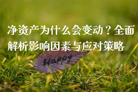 净资产为什么会变动？全面解析影响因素与应对策略_https://wap.langutaoci.com_金融服务_第1张