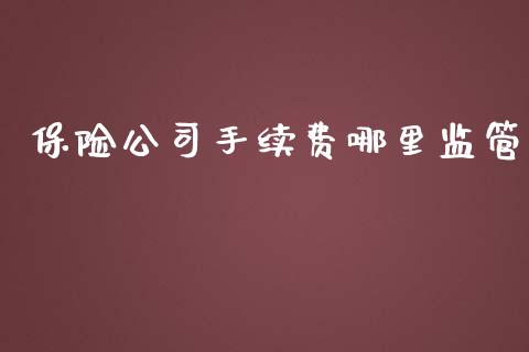 保险公司手续费哪里监管_https://wap.langutaoci.com_外汇论坛_第1张