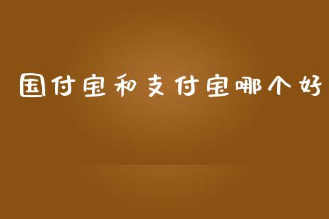 国付宝和支付宝哪个好_https://wap.langutaoci.com_今日财经_第1张