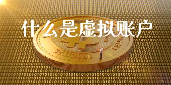 什么是虚拟账户_https://wap.langutaoci.com_今日财经_第1张