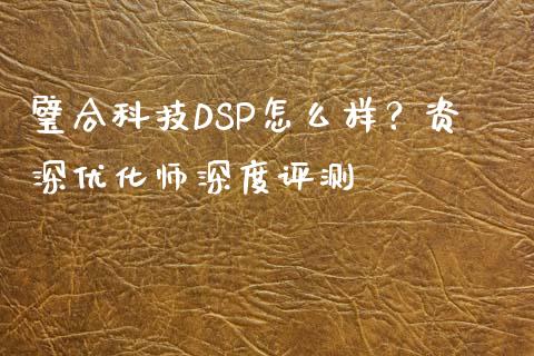 璧合科技DSP怎么样？资深优化师深度评测_https://wap.langutaoci.com_货币市场_第1张